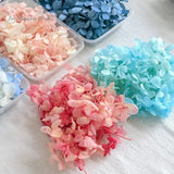 15g Hydrangea Dried Flowers Craft DIY Wedding Centerpieces