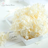 15g Hydrangea Dried Flowers Craft DIY Wedding Centerpieces