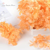 15g Hydrangea Dried Flowers Craft DIY Wedding Centerpieces