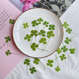 24pcs Dried Four Leaf Clover For Resin Jewelry Nail Art DIY