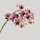 6 Head Phalaenopsis Artificial Flowers PU Orchid DIY Christmas Gift