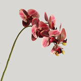 6 Head Phalaenopsis Artificial Flowers PU Orchid DIY Christmas Gift