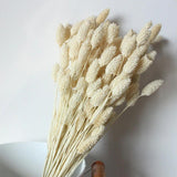 20PCS Dried Pampas Grass Bunch Natural Flowers DIY Wedding Decoration