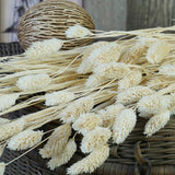 20PCS Dried Pampas Grass Bunch Natural Flowers DIY Wedding Decoration
