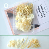 Dried Flowers for DIY Aromatherapy Candle Making Epoxy Resin Mold