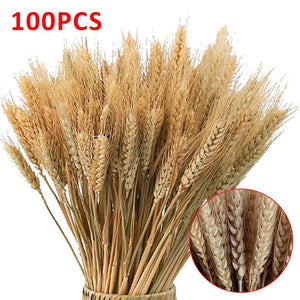 100pcs Wheat Bunch Dried Flower Bouquet Wedding Decor DIY Props