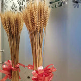 100pcs Wheat Bunch Dried Flower Bouquet Wedding Decor DIY Props