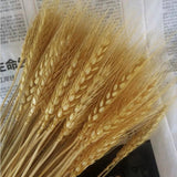 100pcs Wheat Bunch Dried Flower Bouquet Wedding Decor DIY Props