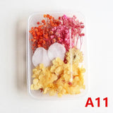 Dried Flowers Box DIY Photo Frame Decoration Bag Epoxy Resin