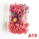 Dried Flowers Box DIY Photo Frame Decoration Bag Epoxy Resin