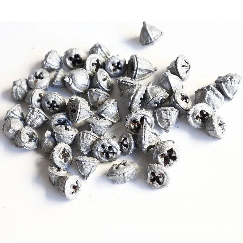 20pcs Silver Preserved Dried Eucalyptus Fruits for Wedding Party Home DIY