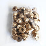 20pcs Silver Preserved Dried Eucalyptus Fruits for Wedding Party Home DIY