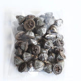 20pcs Silver Preserved Dried Eucalyptus Fruits for Wedding Party Home DIY