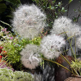 Pink Artificial Dandelion Flower Table Room Decoration Wedding Bouquet