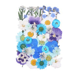Pressed Flower for Epoxy Resin Filling DIY Keychain Pendant