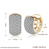 925 Silver Zircon Circular Earrings for Women's Party