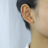 Zircon Stud Earrings 925 Silver Earring for Girls Women