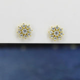 Zircon Stud Earrings 925 Silver Earring for Girls Women