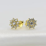 Zircon Stud Earrings 925 Silver Earring for Girls Women