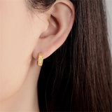 925 Silver Star Zircon Spiral Stud Earrings