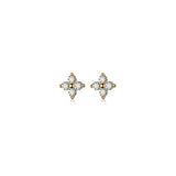 Zircon Flower Stud Earrings, 925 Silver Plated