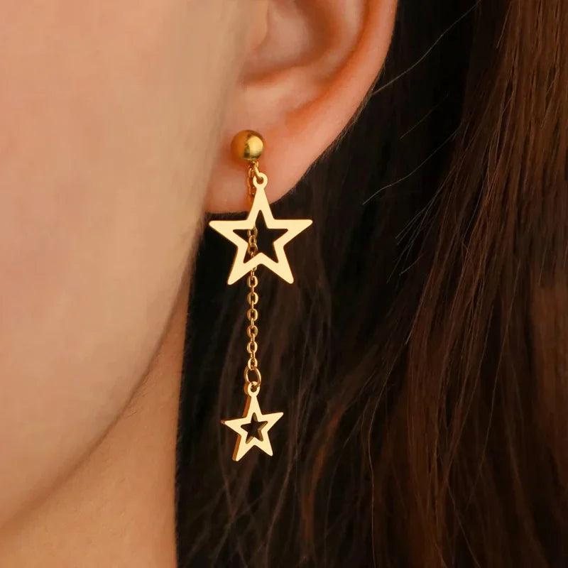 Stainless Steel Earrings for Women LL617