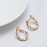 Zircon Half Open Curve Geometric Earrings for Women