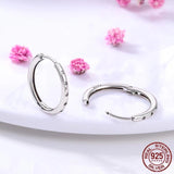 Sterling Silver Zircon Stud Earrings For Women