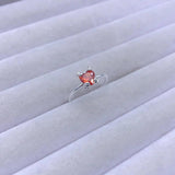 Spanish Bear Royal Jewelry Ring