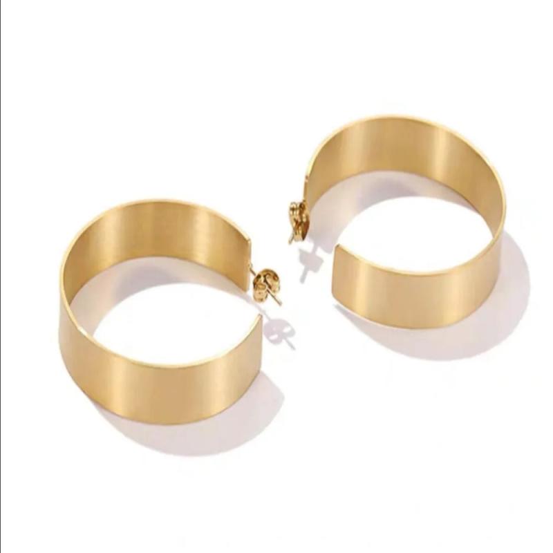 Celebrity Style Stainless Steel Round Earrings