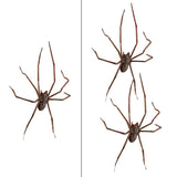 Spider Ear Studs for Halloween Parties