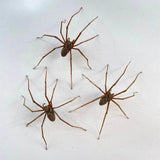 Spider Ear Studs for Halloween Parties