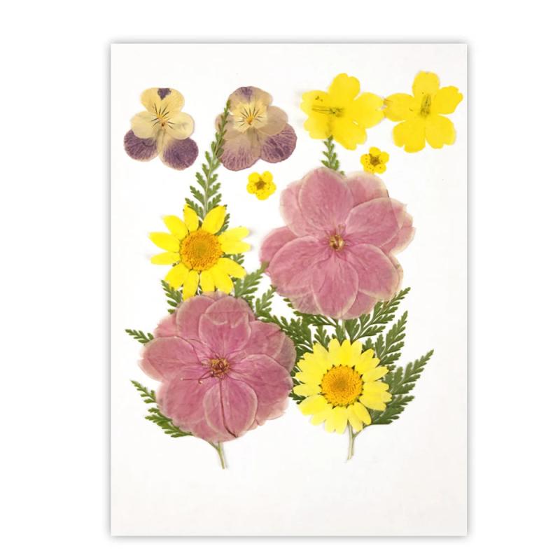 Natural Dried Flower UV Resin Sticker DIY Epoxy Filling Materials