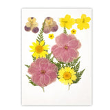 Natural Dried Flower UV Resin Sticker DIY Epoxy Filling Materials