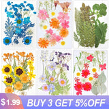 Natural Dried Flower UV Resin Sticker DIY Epoxy Filling Materials