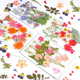 Natural Dried Flower UV Resin Sticker DIY Epoxy Filling Materials