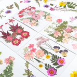 Natural Dried Flower UV Resin Sticker DIY Epoxy Filling Materials