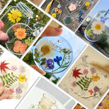 Natural Dried Flower UV Resin Sticker DIY Epoxy Filling Materials