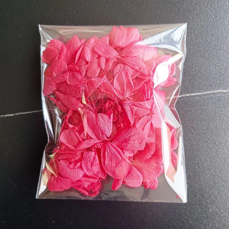 Preserved Hydrangea Dried Flowers DIY Wedding Material Package