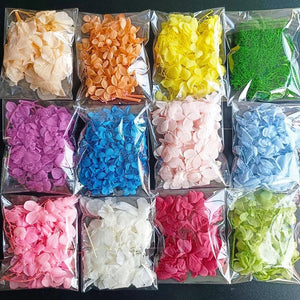 Preserved Hydrangea Dried Flowers DIY Wedding Material Package
