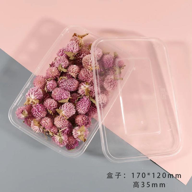 Dried Flowers for Epoxy Resin Mold DIY Candle Crafts