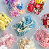 Dried Flowers for Epoxy Resin Mold DIY Candle Crafts