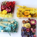 Dried Flowers for Epoxy Resin Mold DIY Candle Crafts