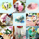 Dried Flowers for Epoxy Resin Mold DIY Candle Crafts
