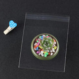 Clear Packaging Bags Plastic Candy Cookie Sock Jewelry Packing Cake Bag