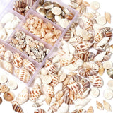 Natural Conch Shell No Holes Flower Snail Snow Shell Jewelry Making Props