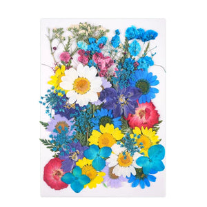40pcs Colorful Dried Flowers Natural Plant Pressed Flower Specimen