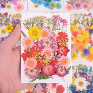 40pcs Colorful Dried Flowers Natural Plant Pressed Flower Specimen