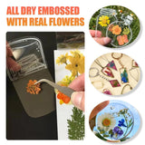 40pcs Colorful Dried Flowers Natural Plant Pressed Flower Specimen