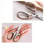 1Pcs Stainless Steel Jewelry Tool Scissors Makeup Grooming Scissors
